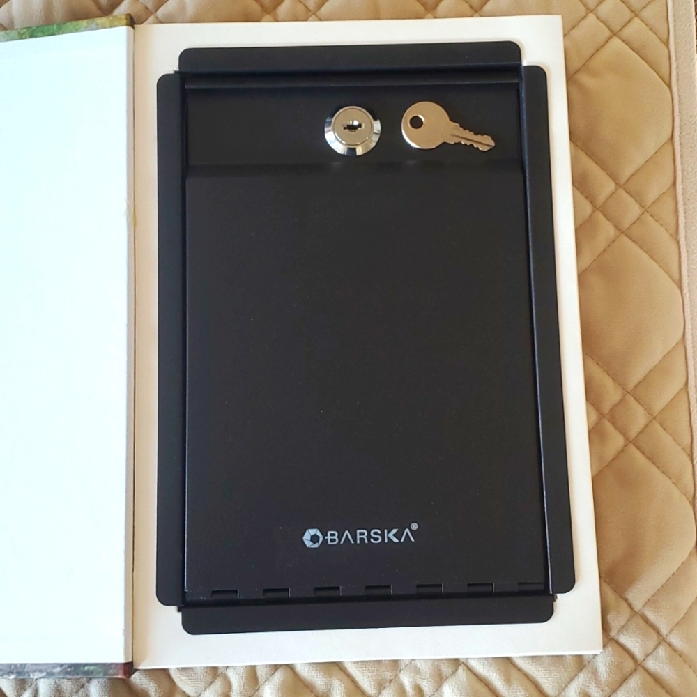 Disguised lockbox